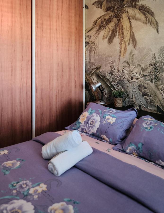Appartement Appart'Eden : vue panoramique sur Saint-Denis à Sainte-Clotilde Extérieur photo